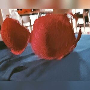 Danskin Intimates Brassiere/42D